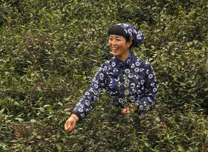 热门推荐1